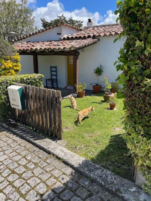 Ocean, Surf, Golf Private Villa With Pool Near Lagoon Casal do Narcizo المظهر الخارجي الصورة