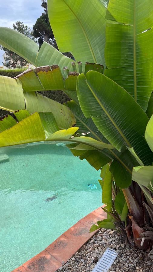 Ocean, Surf, Golf Private Villa With Pool Near Lagoon Casal do Narcizo المظهر الخارجي الصورة